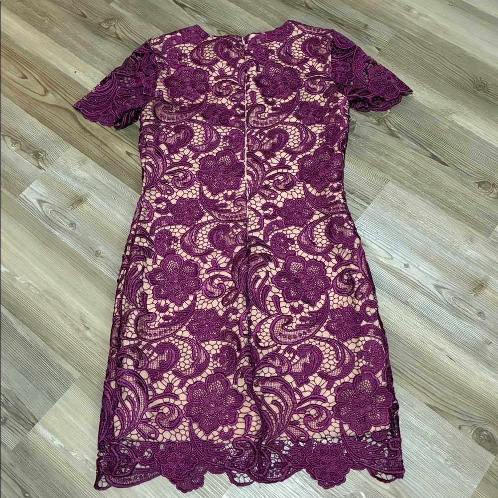 Dress The Population Anna mulberry & nude lace dress size S Cocktail Evening - Picture 6 of 9